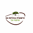 בראשית עבודות עץ